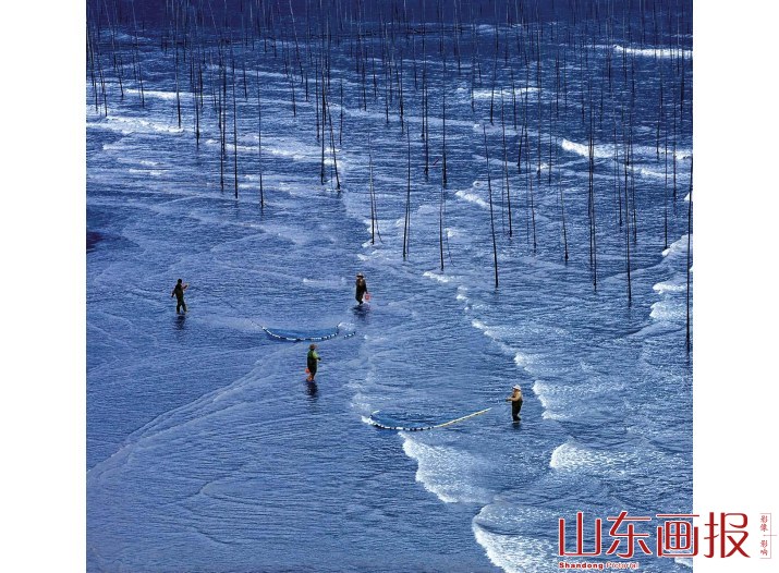 渔民们劳作时在海水中映出的倒影