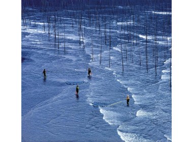 渔民们劳作时在海水中映出的倒影