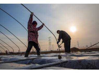 山东滕州：春土豆种植忙
