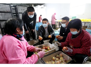 疫情期间关心农产品的销路