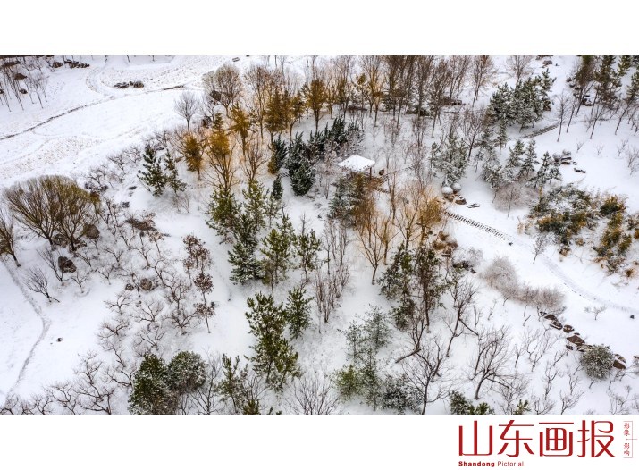春雪入画