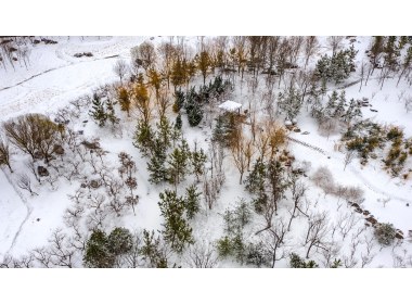 春雪入画