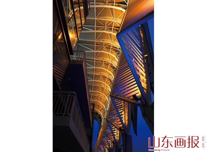 夜色下的奥体中心