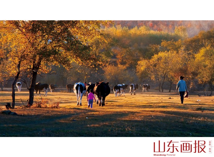 牧场温情