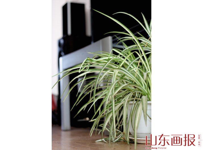 绿色有氧生活