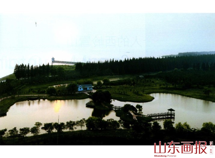 崇明岛西沙湿地