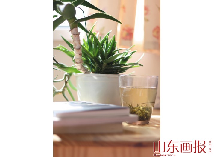 绿色有氧生活