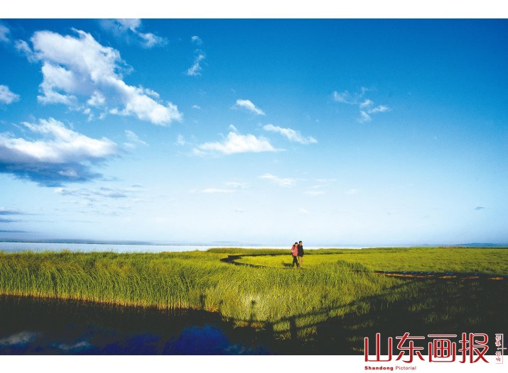 在大自然中浪漫相携