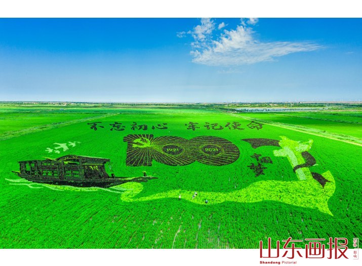 黄河口的稻田画