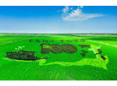 黄河口的稻田画