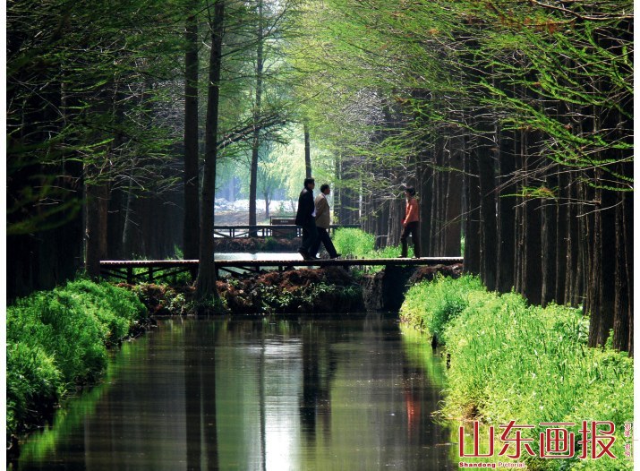 江苏兴化风景
