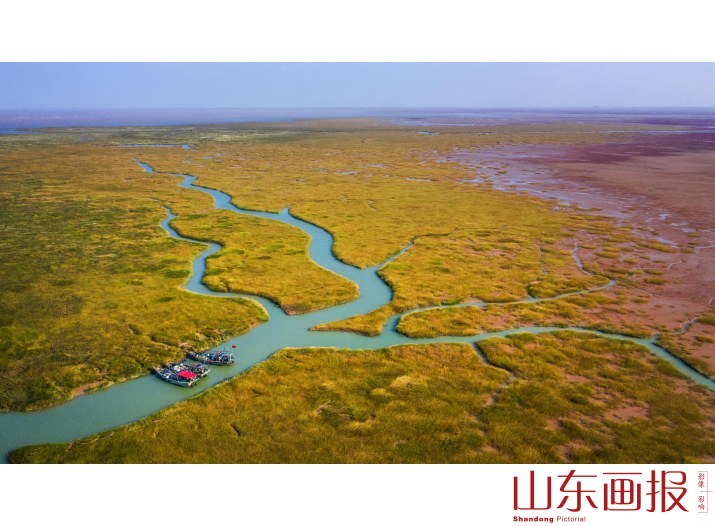 乡村文明-《湿地港湾》