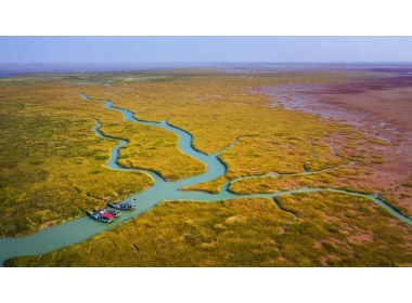乡村文明-《湿地港湾》