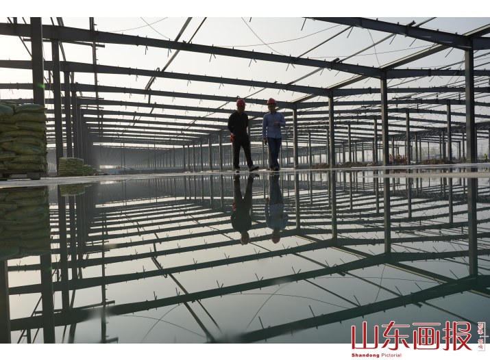 苏宿工业园采风活动