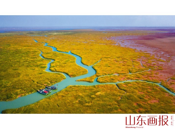 山东黄河三角洲国家级自然保护区