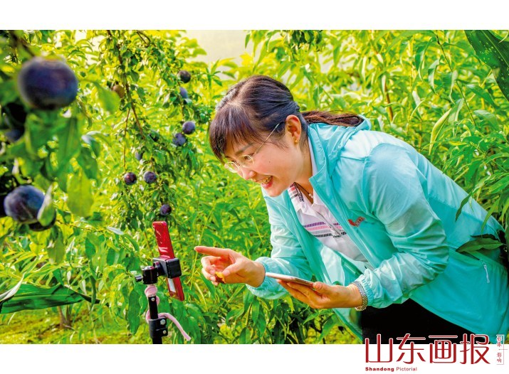 网络直播