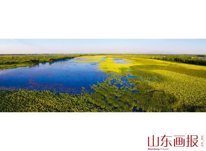 章丘白云湖湿地公园
