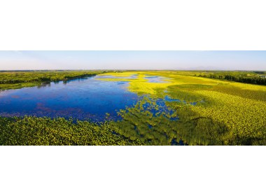 章丘白云湖湿地公园