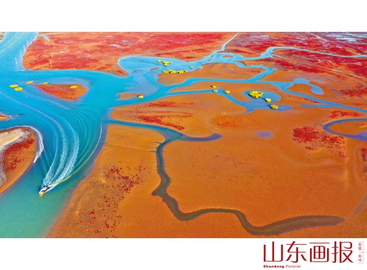 湿地画卷