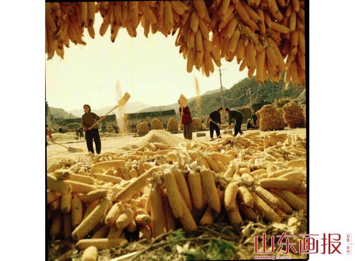 黄县下丁家丰收场