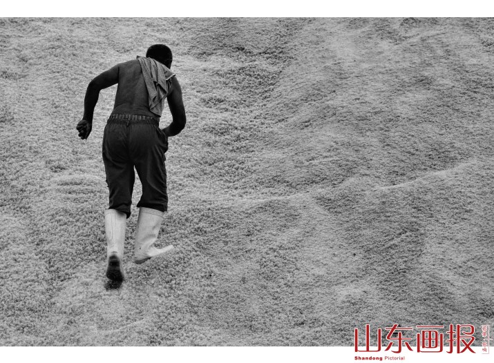 海盐工厂（组图三）