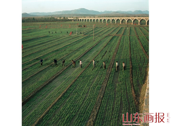 东平农田基本建设