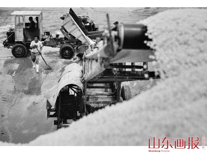 海盐工厂（组图二）