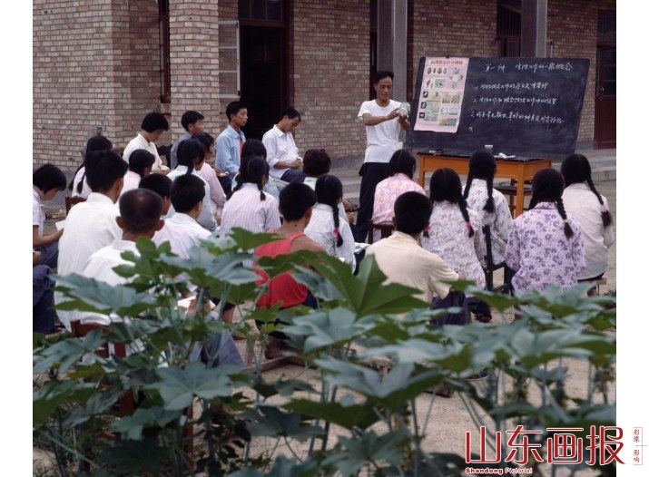 定陶县生物防治