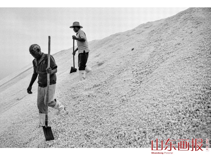 海盐工厂（组图四）