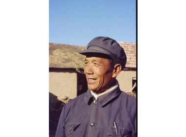 张丙义养牛马骡由穷变富