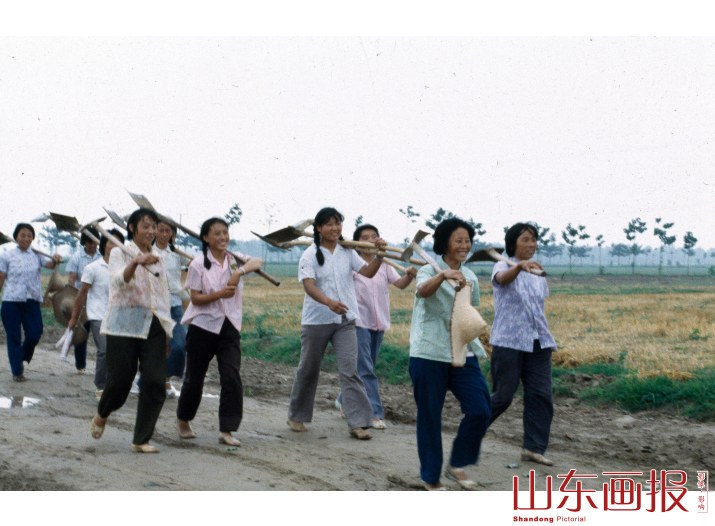 记邹平县位桥公社小田大队 娘子军们都是生产劳动的好手