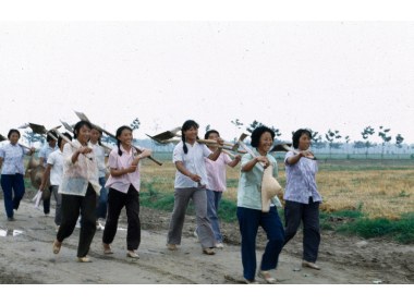 记邹平县位桥公社小田大队 娘子军们都是生产劳动的好手