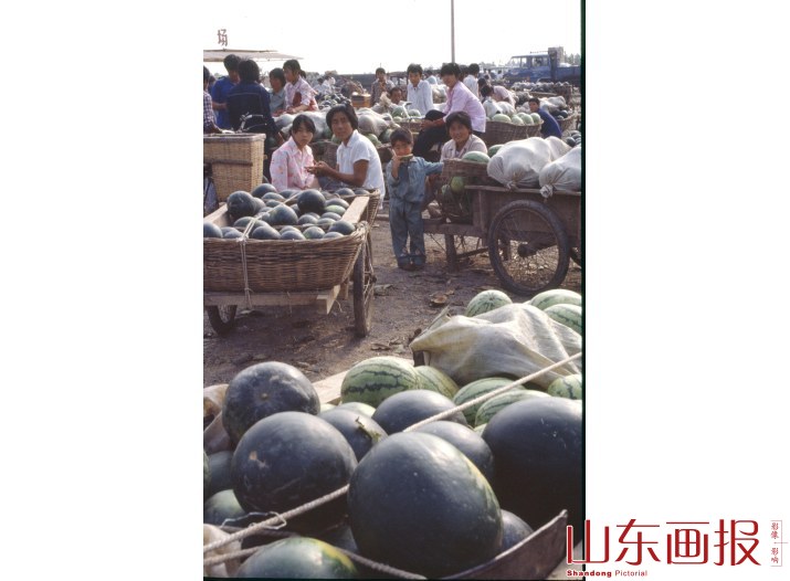 昌乐西瓜 西瓜集市