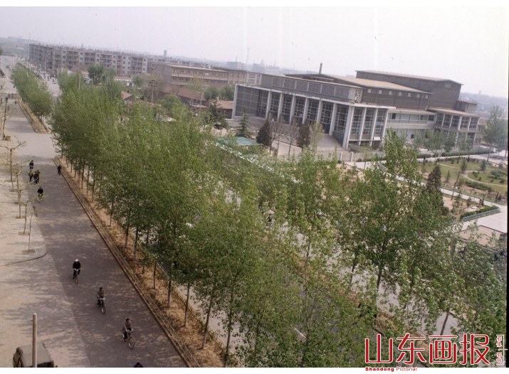 潍坊城市建设 绿化有序的街道