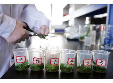 检测农药残留情况