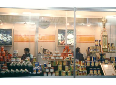 来自海外的声音