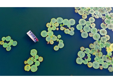 湿地公园