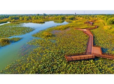 乡村旅游开启了新篇章