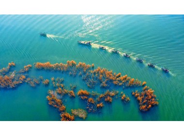 湿地秋韵