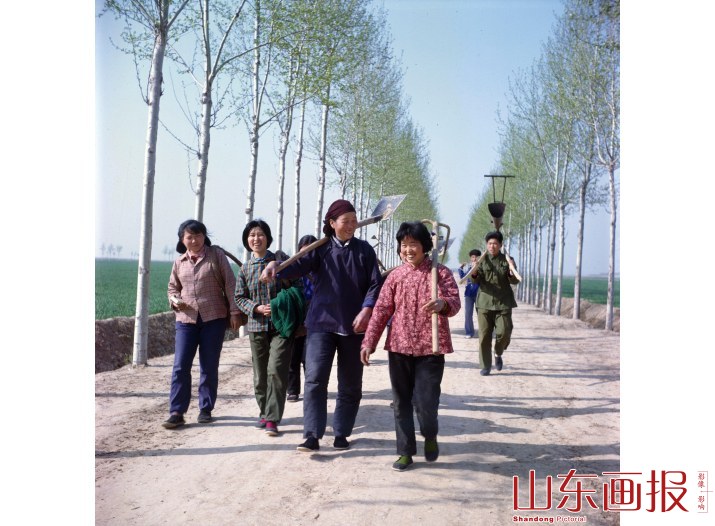 “模范军属”——郑美亭