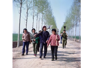 “模范军属”——郑美亭