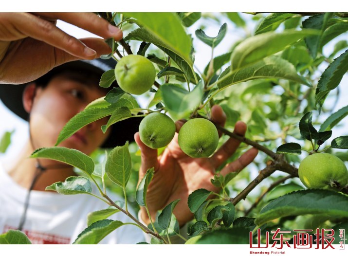 “鲁丽”格外可爱