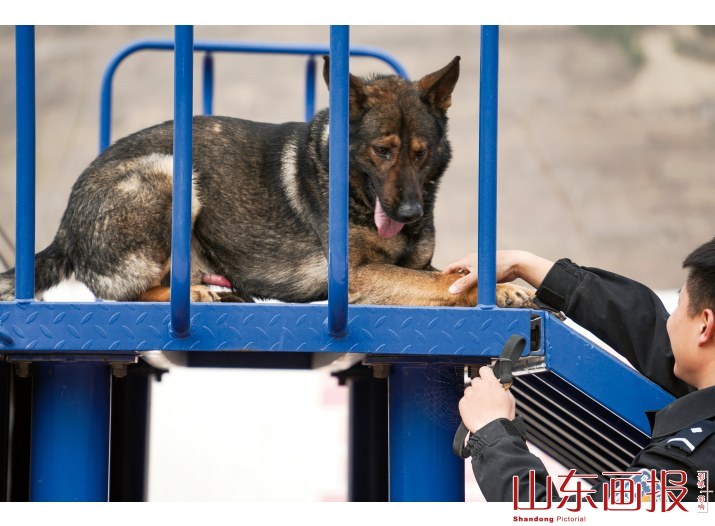 王崇给胆小的虎子加油打气