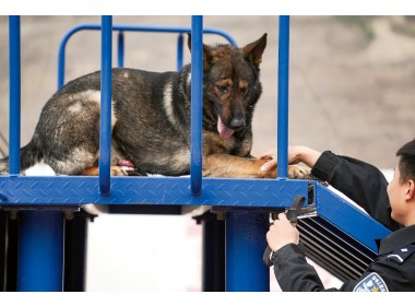 王崇给胆小的虎子加油打气