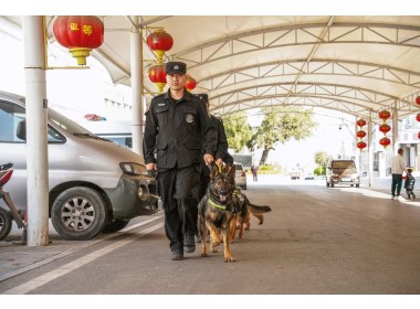 警犬治安巡逻队
