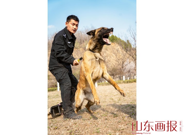 训导员李天昊