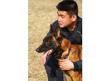 崔连凯