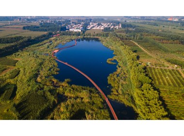 七星湖湿地风光