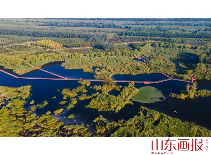 七星湖湿地风光