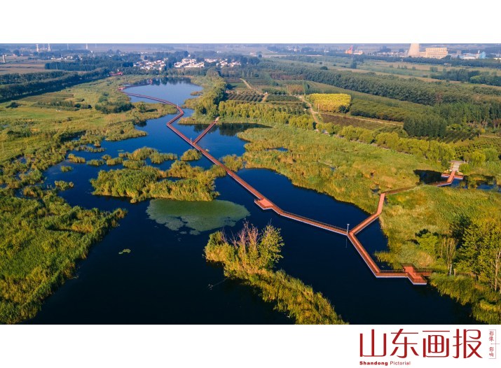 七星湖湿地风光